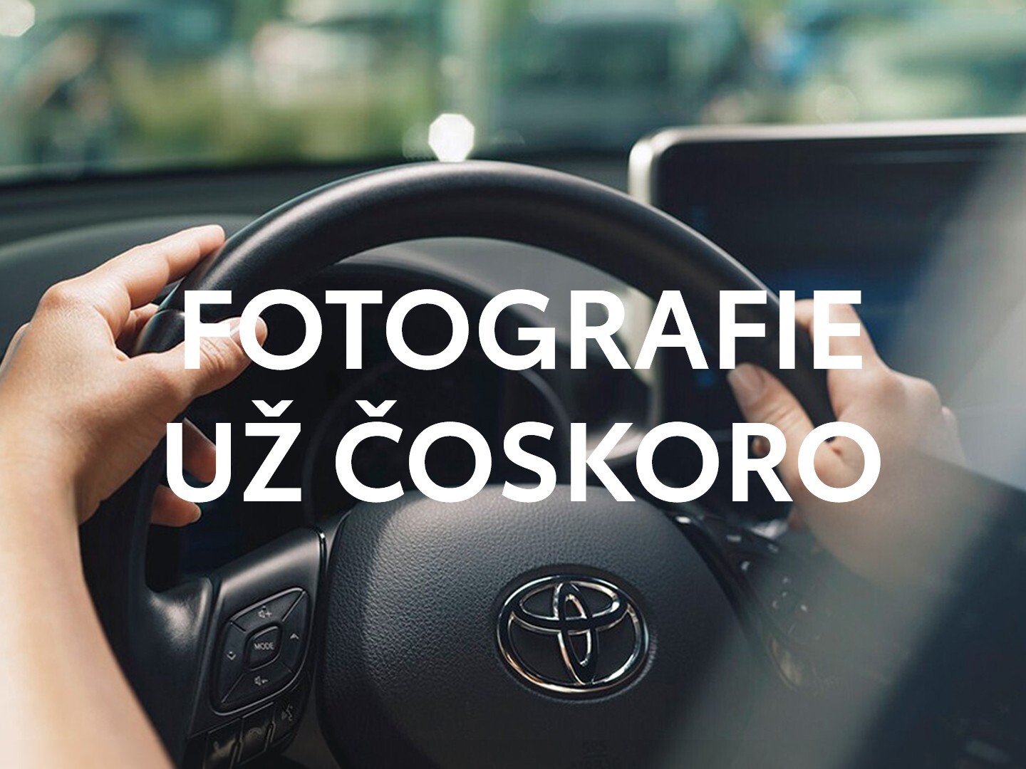 Žiadna fotografia